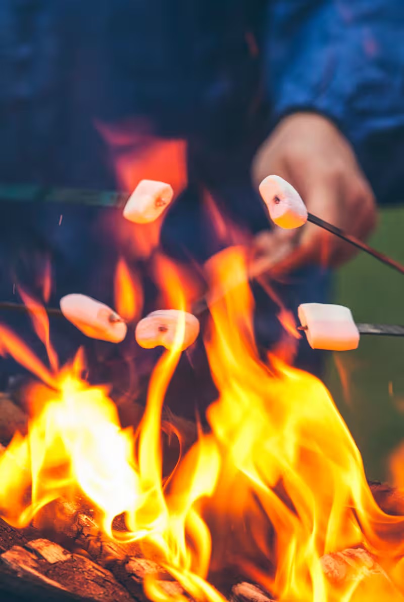 SAS 'Lofty' Adventure Tin - Image 17